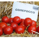 Томат Солероссо (Solerosso) F1 10 шт, Nunhems