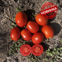 Томат 5108 F1 5000 шт, Spark Seeds