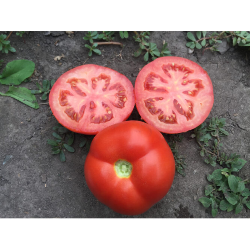 Томат Песадо F1 5 шт, Spark Seeds