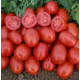 Томат 9960 F1 25 шт, Spark Seeds