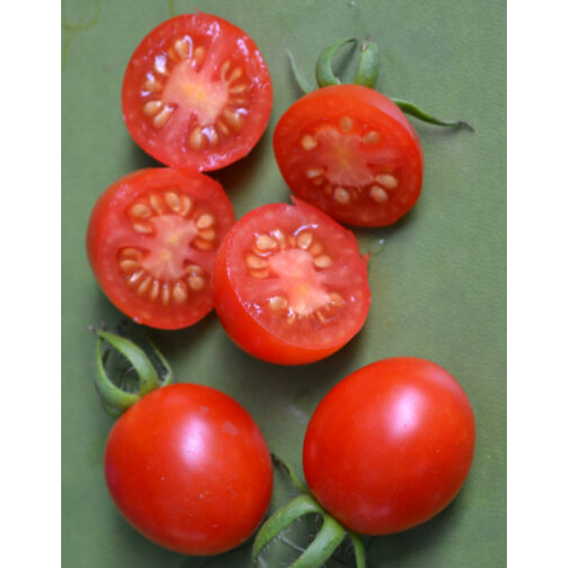 Томат Старскрім F1 10 шт, Spark Seeds