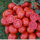 Томат 1311 F1 25 шт, Spark Seeds