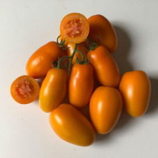 Томат Ремембе F1 5 шт, Spark Seeds