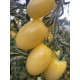 Томат Смарт F1 20 шт, Spark Seeds