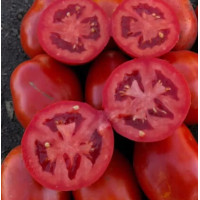 Томат 9985 F1 25 шт, Spark Seeds