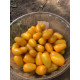 Томат Єллоу Бідс F1 5 шт, Spark Seeds