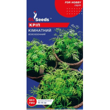 Кріп кімнатний 3 г, Gl Seeds