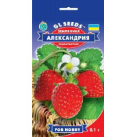 Суниця Олександрія 0.1 г, Gl Seeds 