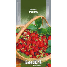 Земляника Регина