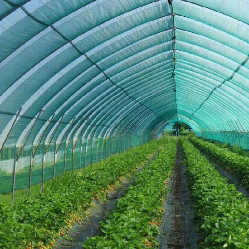 Затіняюча сітка Agreen 70% (4х50) рулон