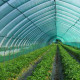 Затіняюча сітка Agreen 70% (4х50) рулон