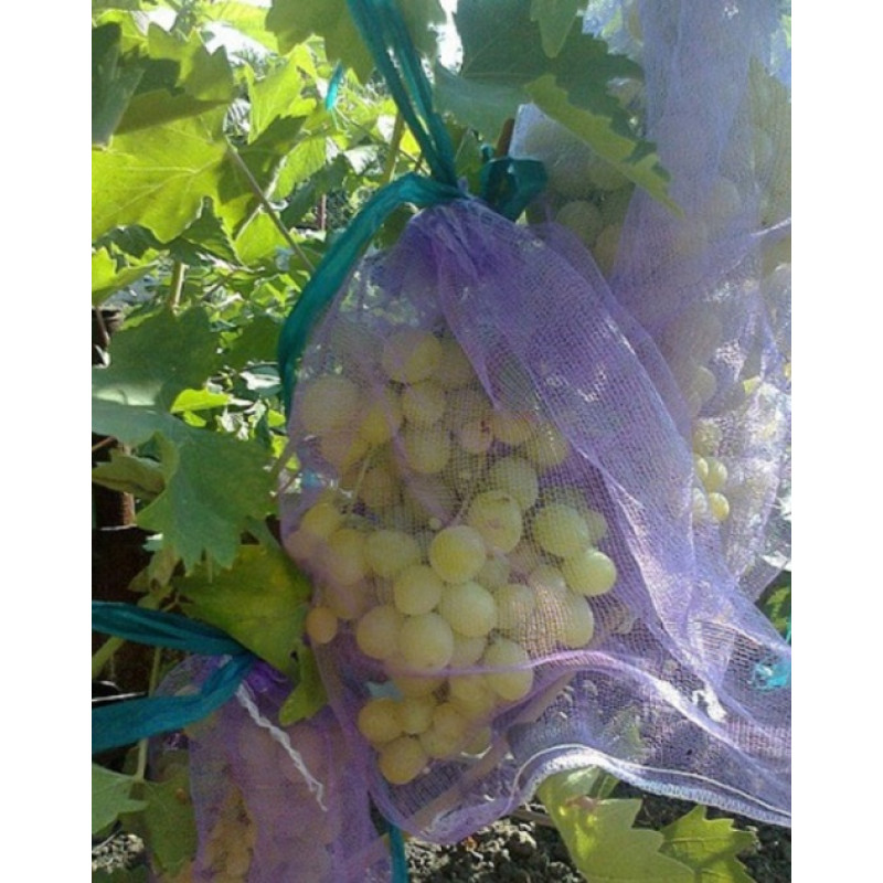 Сітка для захисту винограду 2 кг 22*33 см, 50 шт, фіолетова