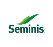 Seminis (Нідерланди)
