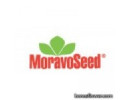 MoravoSeed