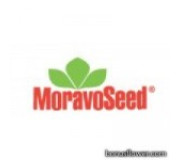 Moravoseed (Чехія)