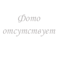 Цинерария гибридная Spring Glory Mix