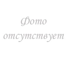Цинерария гибридная Spring Glory Mix
