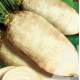 Буряк кормовий Центаур (Україна), 5 кг, Садиба