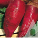 Буряк кормовий Червоний мамонт, 15 кг, Suba Seeds