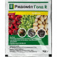 Фунгіцид Ридоміл Голд Р 162 WG  в.г., 100 г, Syngenta