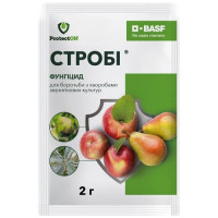 Фунгіцид Стробі, 2 г,  ProtectON