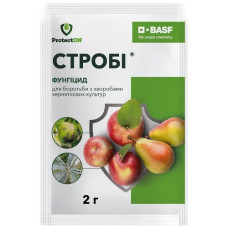 Фунгіцид Стробі, 2 г,  ProtectON