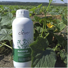Добриво Асковіп 1 кг, Clever Bioscience