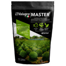 Удобрение Master для самшита и вечнозеленых кустарников, 250г, Valagro