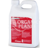 Kendal (Кендал), Біостимулятор + Профілактика хвороб, 10 л, Valagro