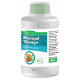 регулятор росту Авангард Стимул в.р. (150 мл)