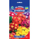Флокс Друммонда суміш 0.2 г, Gl Seeds