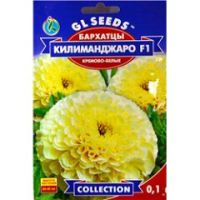 Чорнобривці Кіліманджаро F1 білі, 0,1 г, GL SEEDS