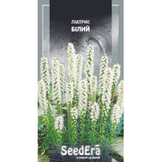 Лиатрис Белый многолетний
