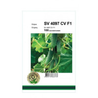 Огурец SV 4097 CV F1  10 шт
