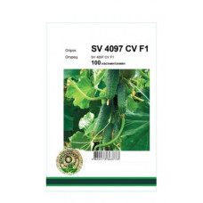 Огурец SV 4097 CV F1  10 шт
